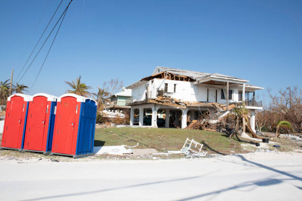  Searingtown, NY Tree Removal Pros